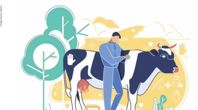 A Better Livestock Budget Can Ensure Nutritional Security & Multiplied Farmers’ Profits
