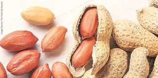 Robust Demand for Indian Groundnuts in SE Asia