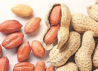 Robust Demand for Indian Groundnuts in SE Asia
