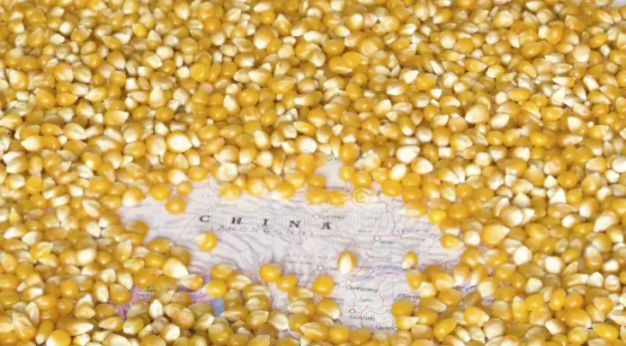 USGC Weekly Price Report 30 Jun 2023