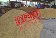 A Ban on DORB Exports Sends Oil Meal Prices Up