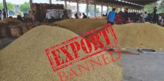 A Ban on DORB Exports Sends Oil Meal Prices Up