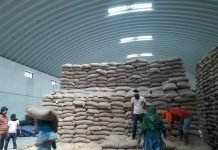 Grain-Based Ethanol: Far-Fetched Reality for India