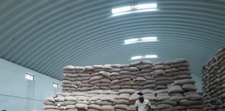 Grain-Based Ethanol: Far-Fetched Reality for India