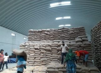 Grain-Based Ethanol: Far-Fetched Reality for India