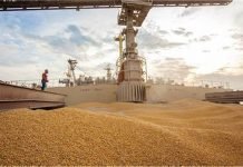 Efforts to boost supplies, India to cut or abolish import tax on wheat