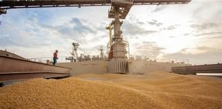 Efforts to boost supplies, India to cut or abolish import tax on wheat