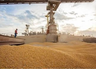 Efforts to boost supplies, India to cut or abolish import tax on wheat