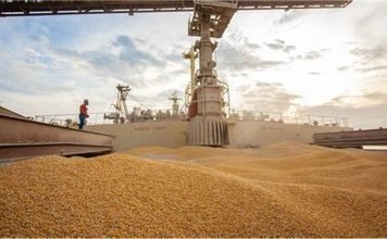 Efforts to boost supplies, India to cut or abolish import tax on wheat