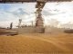 Efforts to boost supplies, India to cut or abolish import tax on wheat