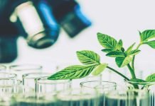 A New Lens for Phytogenics – Harnessing The Power of Plants