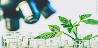 A New Lens for Phytogenics – Harnessing The Power of Plants