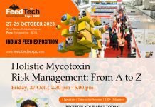 Holistic Mycotoxin Risk Management: From A to Z