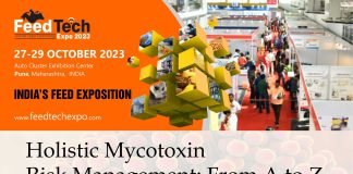 Holistic Mycotoxin Risk Management: From A to Z