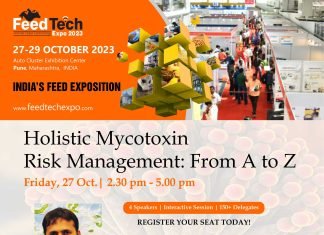 Holistic Mycotoxin Risk Management: From A to Z
