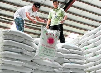 The Global Sugar Shortage Is About to Ease Thanks to a Corn Supply Boom