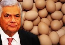 Sri Lanka to Import Eggs from India