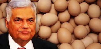 Sri Lanka to Import Eggs from India