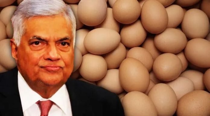 Sri Lanka to Import Eggs from India
