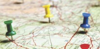 Noveltech Relaunching its Cattle Feed Division