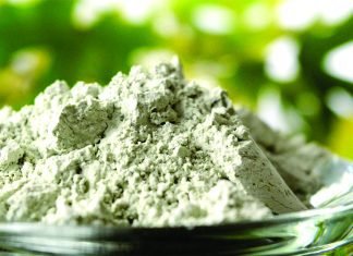 Toxin Binder Clays: Unravelling The Evolutionary Journey & Nomenclature