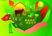 Another Indian Agritech startup in the Animal Industry