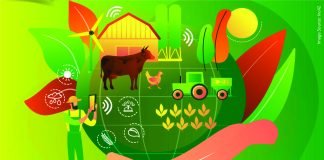 Another Indian Agritech startup in the Animal Industry