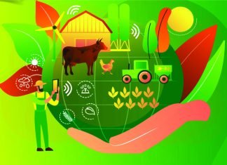 Another Indian Agritech startup in the Animal Industry