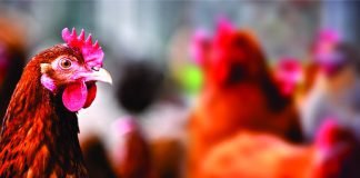 Recognition by WOAH Signifies India’s Commitment to International Biosecurity Standards