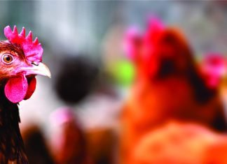Recognition by WOAH Signifies India’s Commitment to International Biosecurity Standards