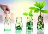 Scottish Insect Genetics Company Raises Investment