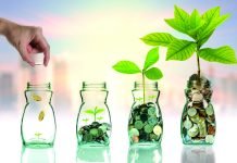 Scottish Insect Genetics Company Raises Investment