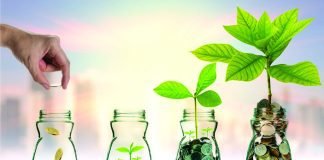 Scottish Insect Genetics Company Raises Investment