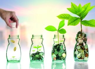 Scottish Insect Genetics Company Raises Investment