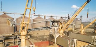 GM Maize & Soybean Cultivation in China May Impact Global Grain Trade