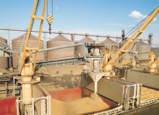 GM Maize & Soybean Cultivation in China May Impact Global Grain Trade