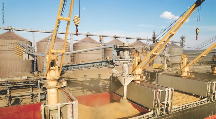 GM Maize & Soybean Cultivation in China May Impact Global Grain Trade