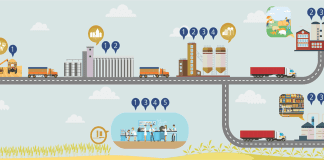 Holistic Approach to Mycotoxin Risk Management: from A to Z