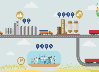 Holistic Approach to Mycotoxin Risk Management: from A to Z