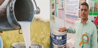 University of Agricultural Sciences (UAS)-Bengaluru Introduces Budget-Friendly and Sustainable Raw Milk Cooling Solution