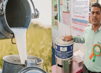 University of Agricultural Sciences (UAS)-Bengaluru Introduces Budget-Friendly and Sustainable Raw Milk Cooling Solution