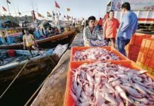 Uttar Pradesh bagged the top spot in the inland fisheries.