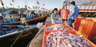 Uttar Pradesh bagged the top spot in the inland fisheries.