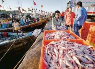 Uttar Pradesh bagged the top spot in the inland fisheries.