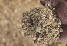 Odisha Startup to Produce Wealth from Fish Waste