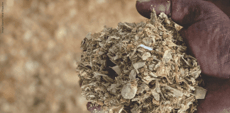 Odisha Startup to Produce Wealth from Fish Waste