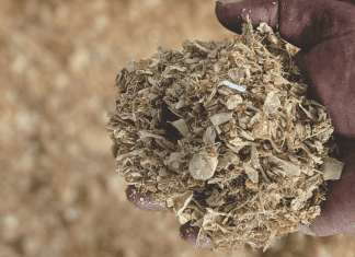 Odisha Startup to Produce Wealth from Fish Waste
