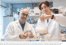 Zero-Waste Fuel Cells from Chicken Feathers