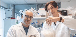 Zero-Waste Fuel Cells from Chicken Feathers