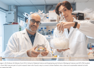 Zero-Waste Fuel Cells from Chicken Feathers